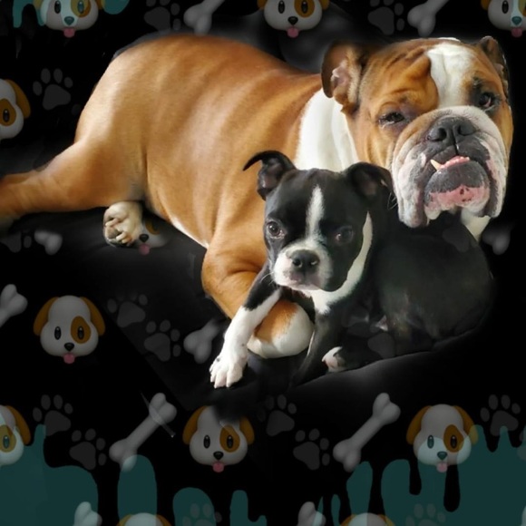 Meet your Posher, Sindy - Picture 1 of 1